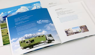 VI企業(yè)形象設(shè)計(jì) 為什么它是值得信賴(lài)的企業(yè)形象策劃核心